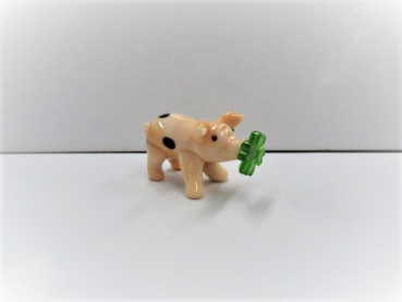 pig on shamrock